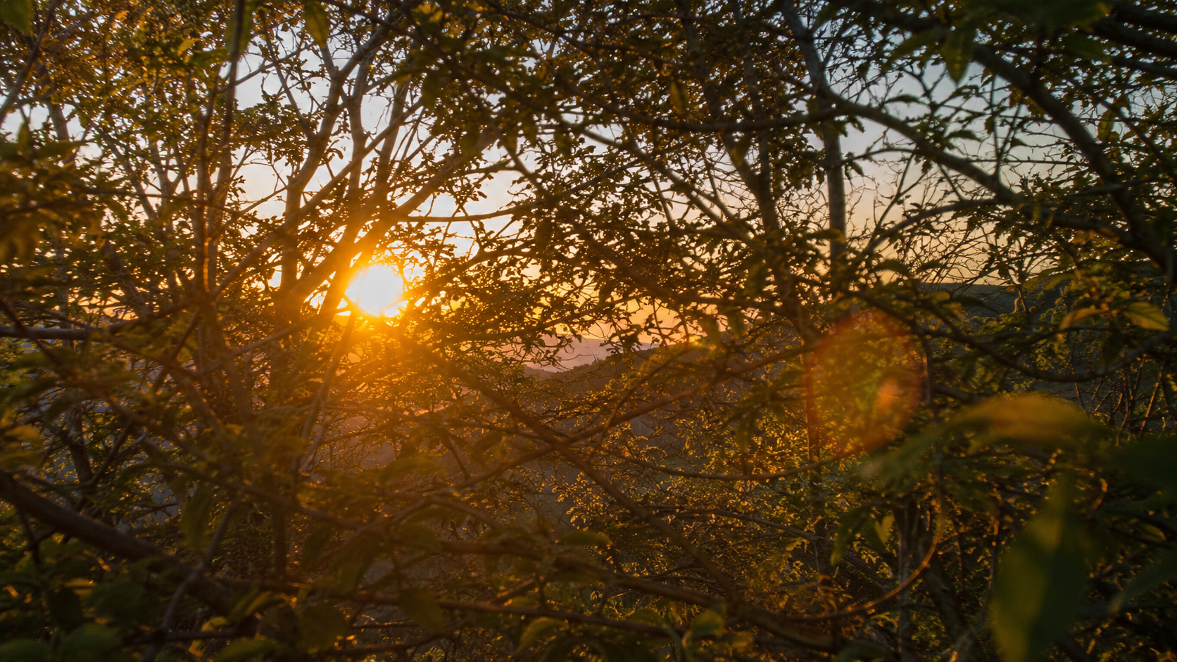 Film-Style Sunset Photography: Reconstructing Lens Flare and Optical Reality Through Language